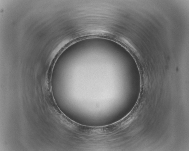 X0000069410883200605192301