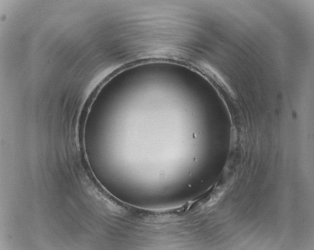 X0000069410884200605192301