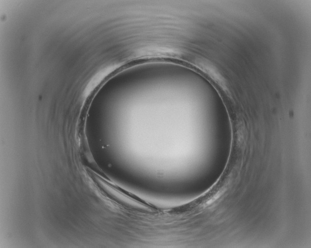 X0000069410885200605192301