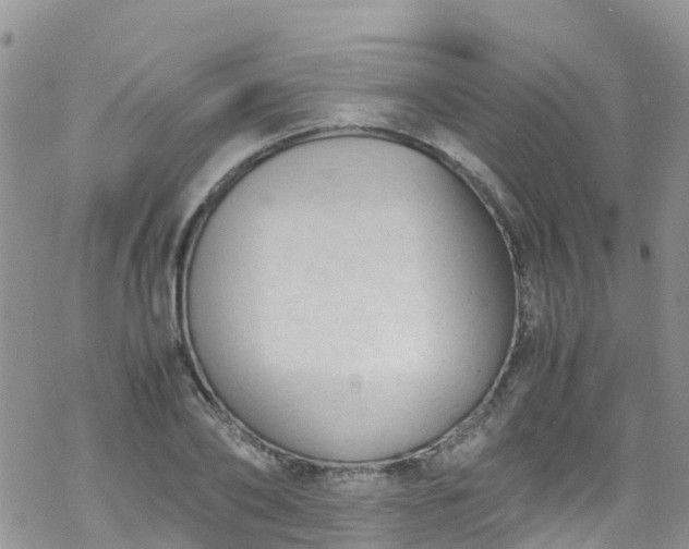 X0000069410886200605192301