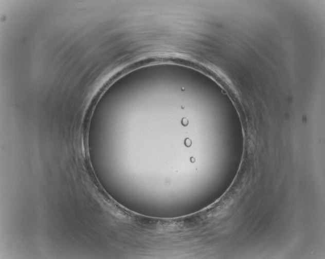 X0000069410887200605192301