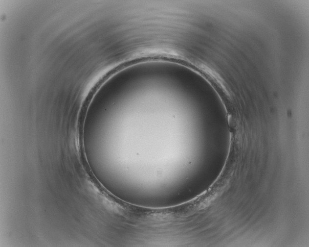 X0000069410888200605192301