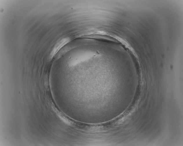 X0000069410889200605192301