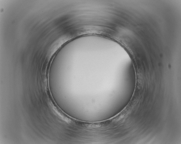 X0000069410890200605192301