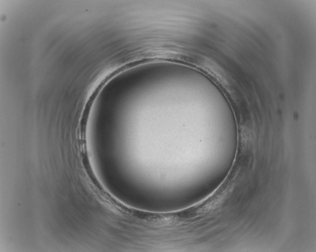 X0000069410891200605192301