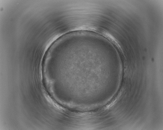 X0000069410892200605192301