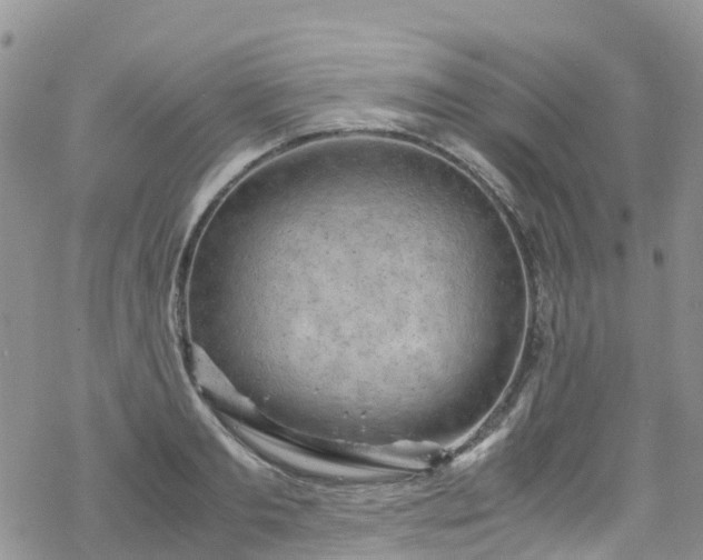 X0000069410893200605192301