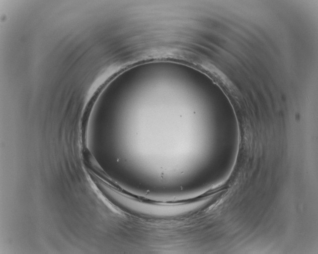 X0000069410894200605192301