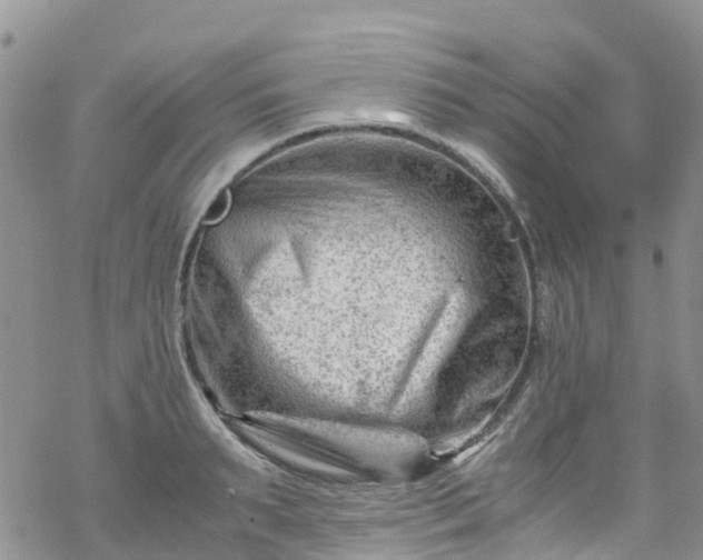 X0000069410895200605192301