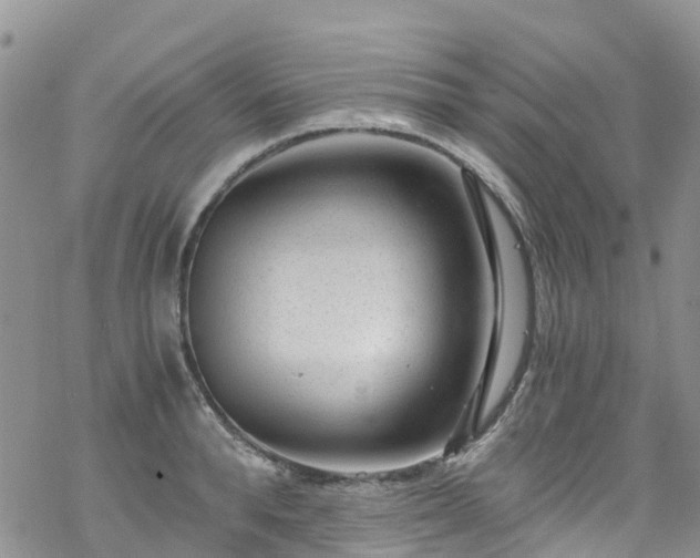 X0000069410896200605192301