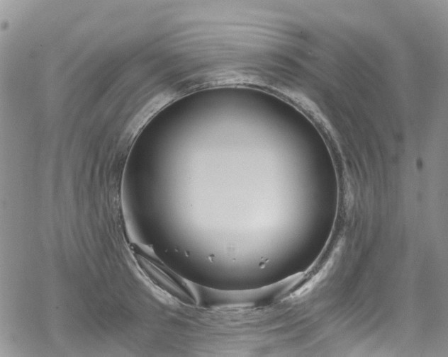 X0000069410897200605192301