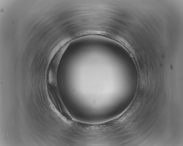 X0000069410898200605192301