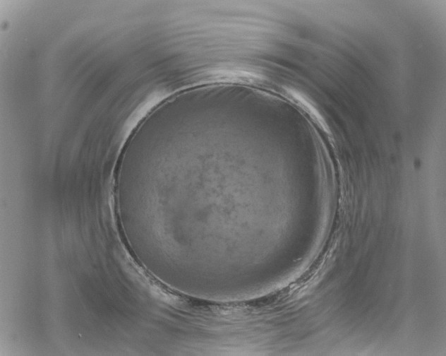 X0000069410899200605192301