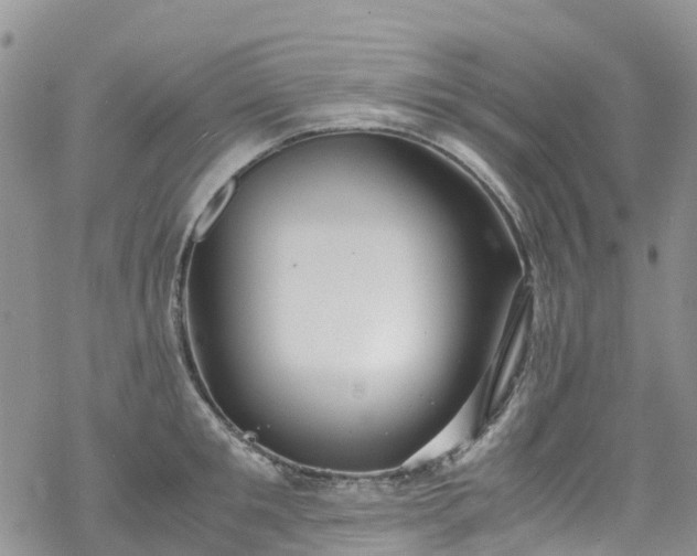 X0000069410901200605192301