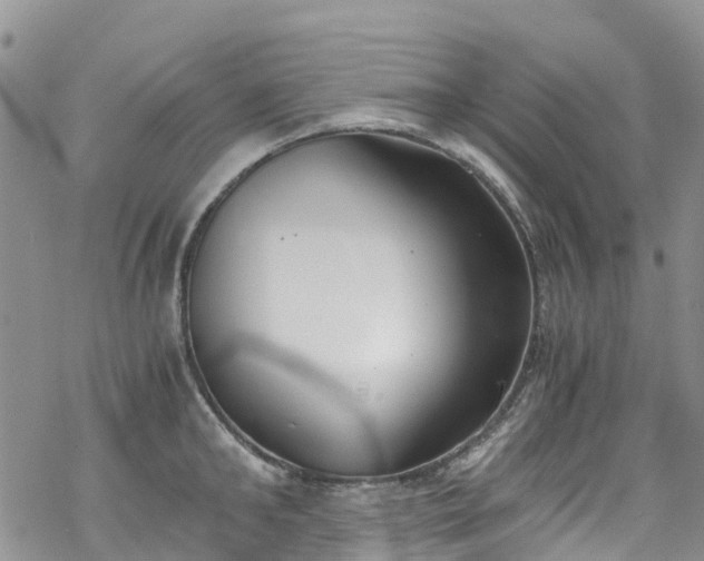 X0000069410902200605192301