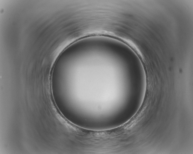 X0000069410903200605192301