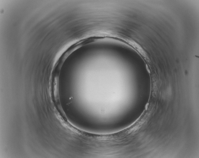 X0000069410904200605192301