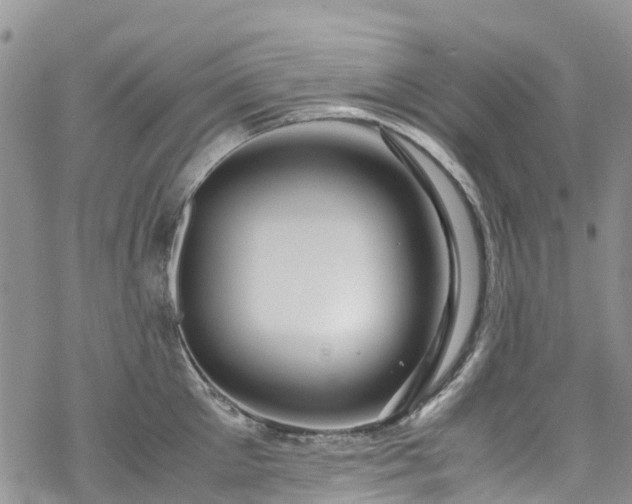 X0000069410905200605192301