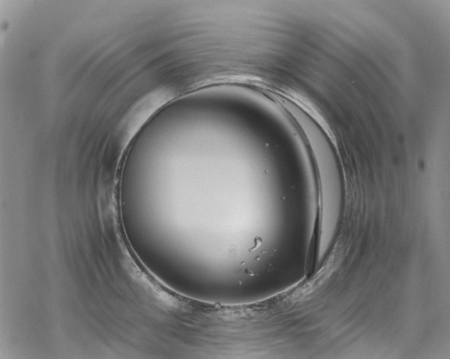 X0000069410906200605192301