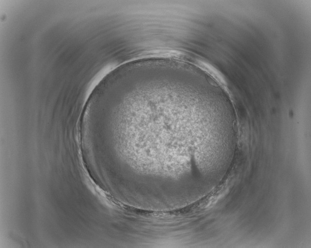 X0000069410907200605192301