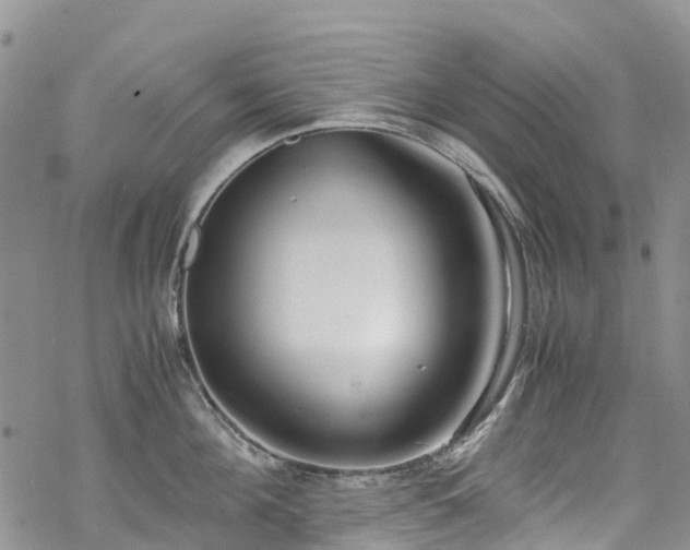 X0000069410908200605192301