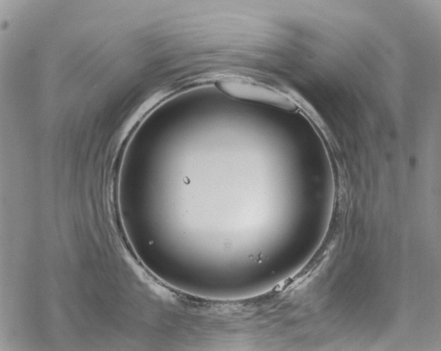 X0000069410909200605192301