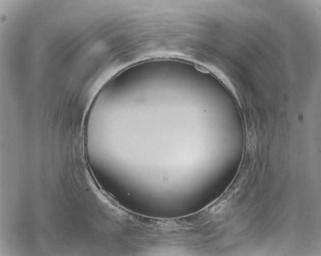 X0000069410911200605192301