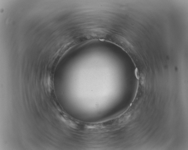 X0000069410915200605192300