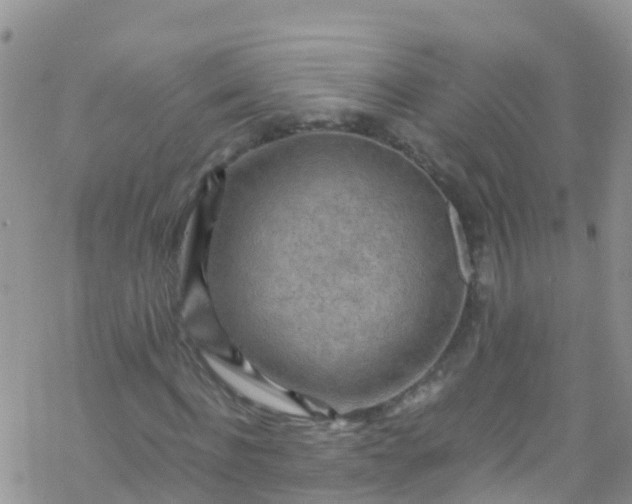 X0000069410916200605192300