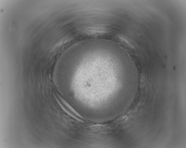 X0000069410917200605192300