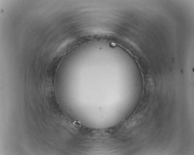 X0000069410918200605192300