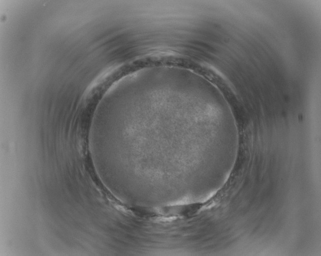 X0000069410919200605192300