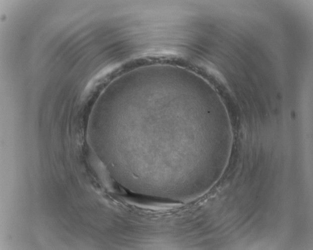 X0000069410920200605192300