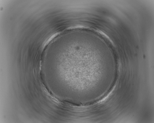 X0000069410921200605192300