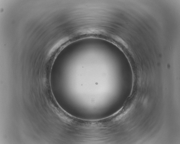 X0000069410922200605192300