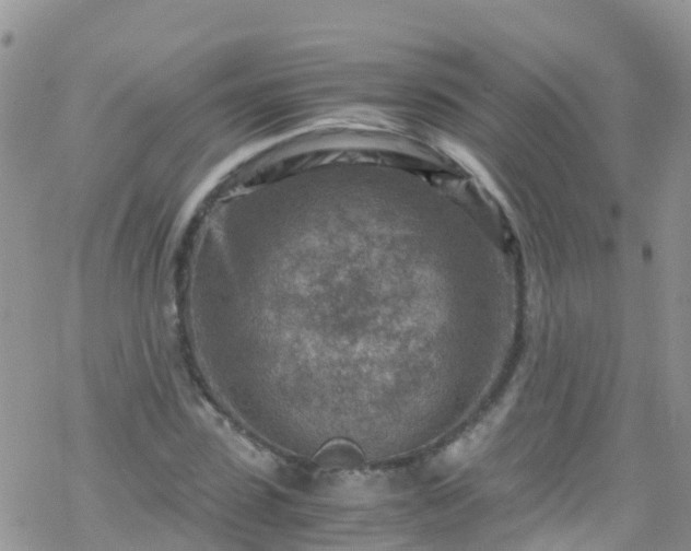 X0000069410923200605192300