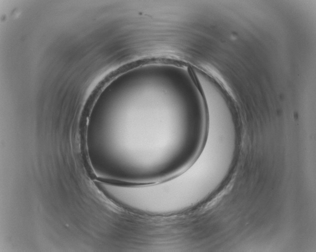 X0000069410924200605192300