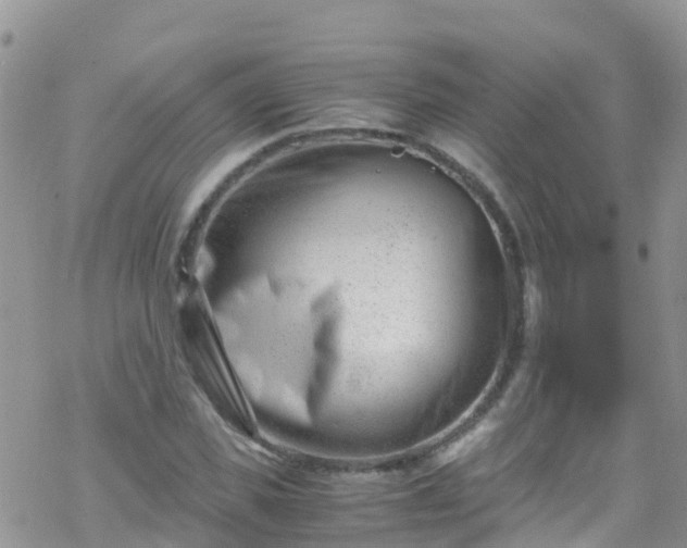 X0000069410925200605192300