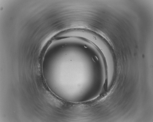 X0000069410926200605192300