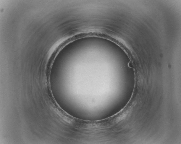 X0000069410927200605192300