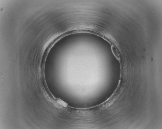 X0000069410928200605192300