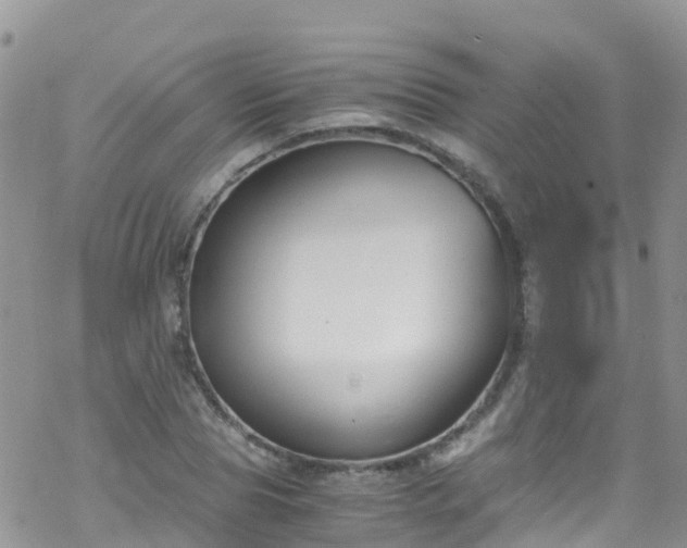 X0000069410929200605192300