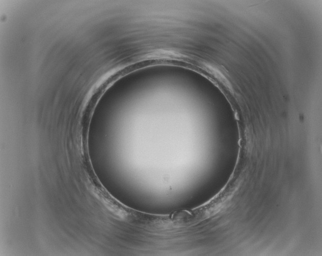 X0000069410931200605192300