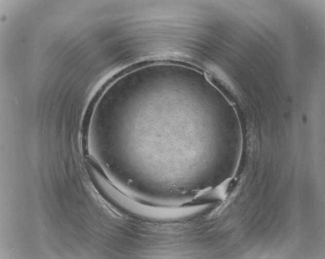 X0000069410932200605192300