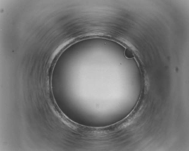 X0000069410933200605192300