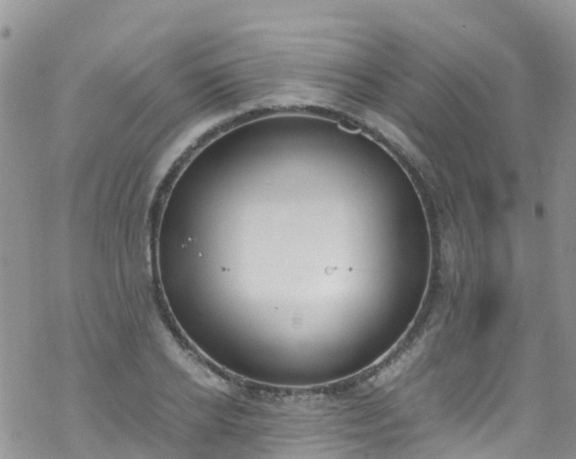 X0000069410934200605192300