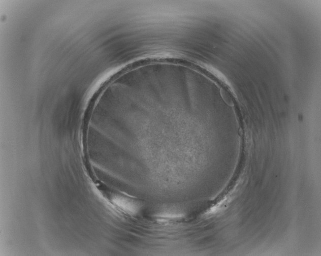 X0000069410935200605192300