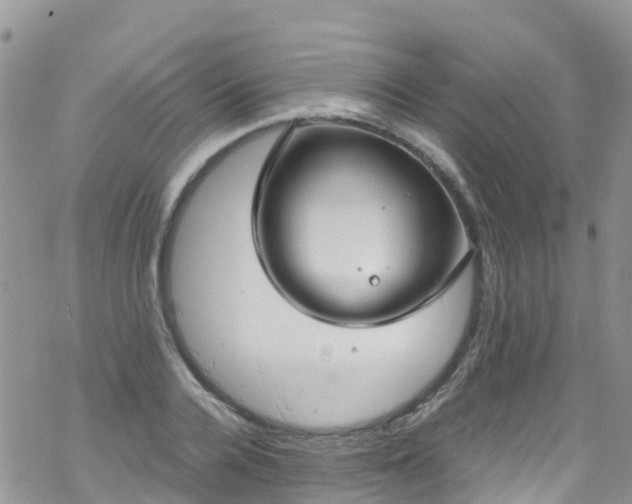 X0000069410936200605192300