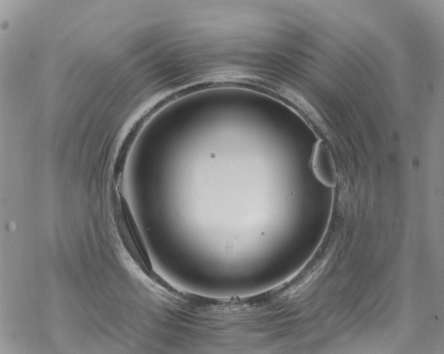 X0000069410939200605192300