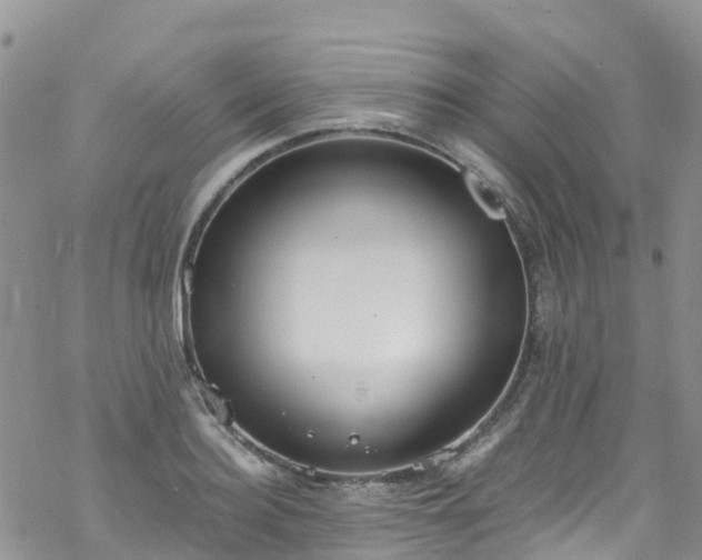 X0000069410940200605192300